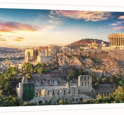 29503