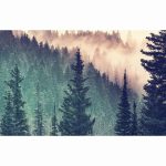 Puzzle Padure, 200 Piese - imagine 2