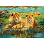 Puzzle Familie De Lei, 500 Piese - imagine 2