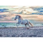 Puzzle Cal Pe Plaja, 500 Piese - imagine 2