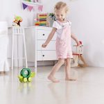 Hape - Hape Broscuta Plimbareata - Tito - imagine 3