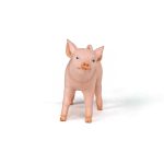 Papo - Papo Figurina Purcica - imagine 4