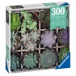 Puzzle Plante Suculente, 300 Piese - imagine 2