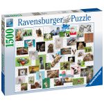 Puzzle Colaj Cu Animale, 1500 Piese - imagine 2