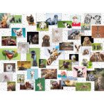 Puzzle Colaj Cu Animale, 1500 Piese - imagine 3
