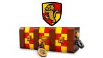 LEGO - Lego Harry Potter Cufar Magic Hogwarts 76399 - imagine 6