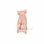 Papo - Papo Figurina Purcica - imagine 7