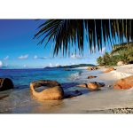Puzzle Palmier La Plaja, 1000 Piese - imagine 2