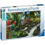 Puzzle Papagali In Jungla, 2000 Piese - imagine 3