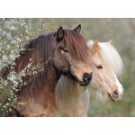 Puzzle Ponei, 150 Piese - imagine 2