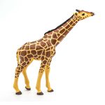 Papo - Papo Figurina Girafa Cu Cap Ridicat - imagine 2