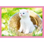 Trefl - Puzzle Trefl 4In1 Pisicutele Dragalase - imagine 3