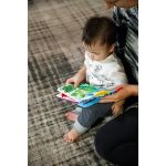 Baby Einstein - Jucarie pentru dentitie in forma de carte - imagine 9
