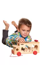 Woodyland - CAMION DE SORTARE CU FORME - imagine 3
