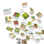 Hubelino - PUZZLE - LUMEA DINOZAURILOR (35 PIESE) - imagine 2