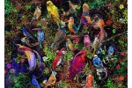 Puzzle Arta Pasarilor, 1000 Piese